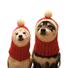 Festive Dog Headwear for Holiday Cheer
